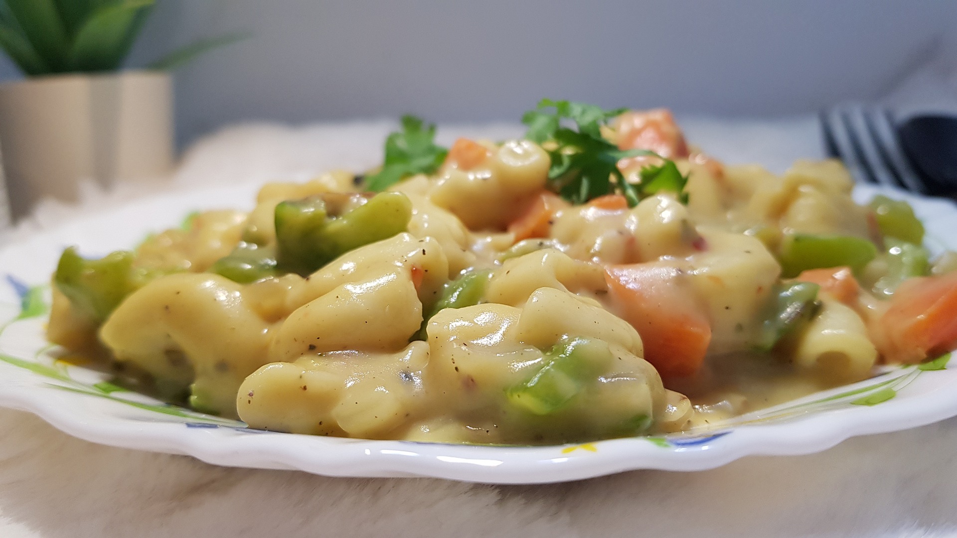 White Sauce Pasta Recipe